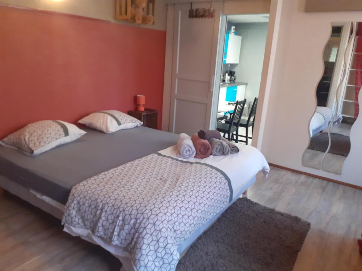 Appartamento Au Coup De Coeur Colmar Esterno foto